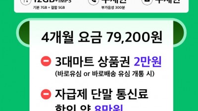 스피츠 모바일 빠르게 가입되고 편하네요